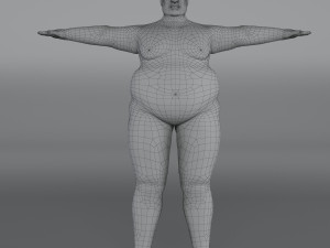 14 rigged base mesh Model 3D