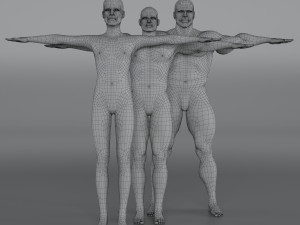 14 rigged base mesh Model 3D