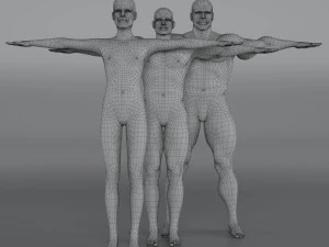 14 rigged base mesh 3D Model