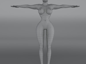 14 rigged base mesh Model 3D
