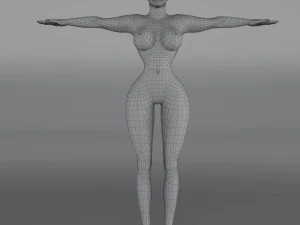 14 rigged base mesh 3D Model