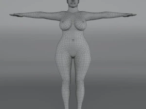 14 rigged base mesh 3D Model