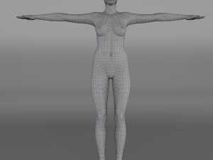 14 rigged base mesh Model 3D