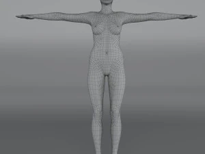 14 rigged base mesh 3D Model