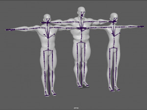 14 rigged base mesh Model 3D
