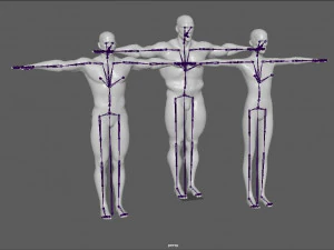 14 rigged base mesh 3D Model