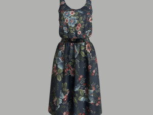 dress 3Dモデル