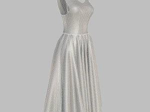 dress 3D Model