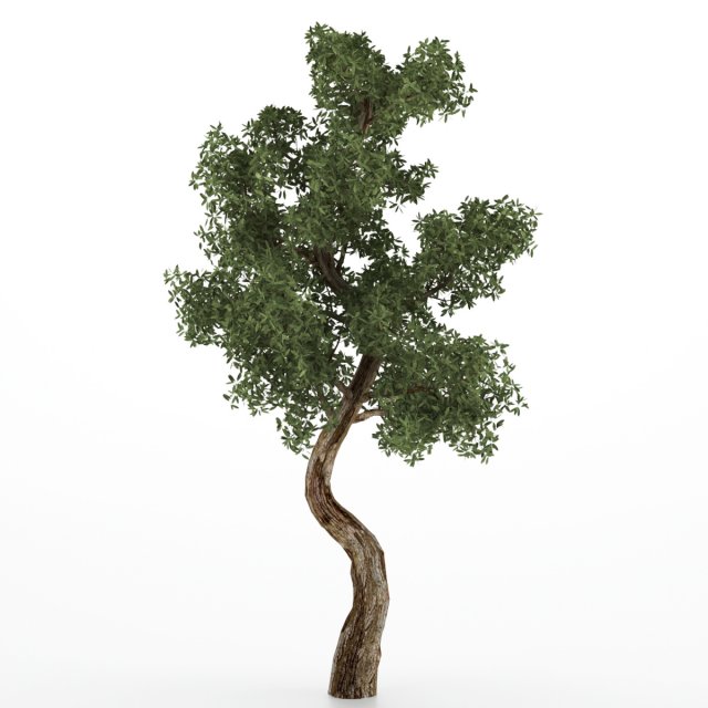 Tree 3D Модель .c4d .max .obj .3ds .fbx .stl .blend 