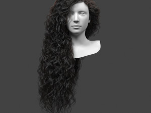 curly hair card 3D Model