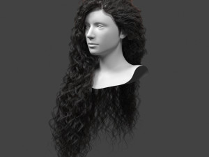 curly hair card 3D 모델