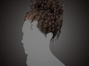 Real time hair card-curly hair 3D Model