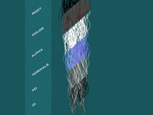Real time hair card-curly hair Model 3D