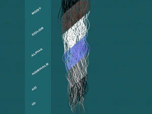 Real time hair card-curly hair 3D Model