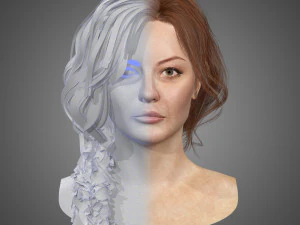 गेम्स के लिए लो पॉली रियल-टाइम हेयरकार्ड 3D मॉडल