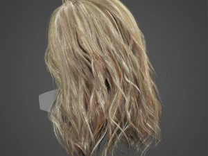 Low Poly wavy Real-Time HairCards for games 3D Model