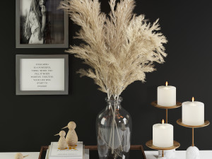 3dasset pampas decorative set Model 3D