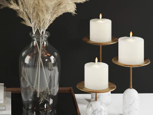 3dasset pampas decorative set 3D Model
