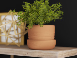 kitchen accessories on wood shelves 3Dモデル