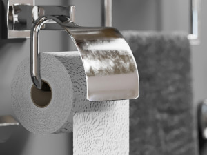 stainless steel hardware bathroom Model 3D