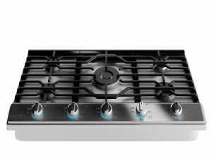 सैमसंग गैस हॉब 3D मॉडल