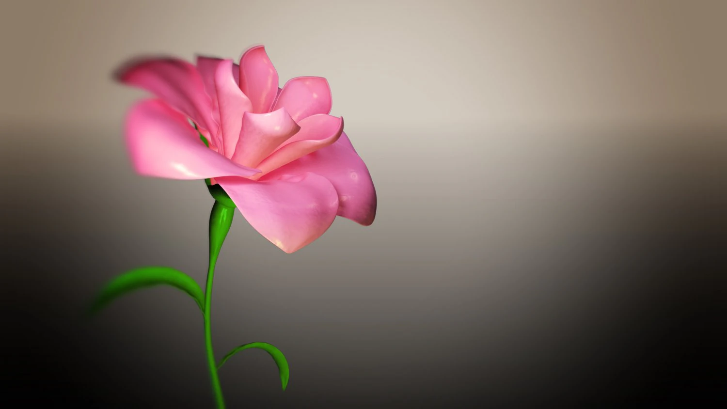animated flower blooming flower 3D Model .c4d .max .obj .3ds .fbx .stl .blend 