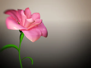 animated flower blooming flower 3D Model