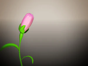 animated flower blooming flower 3D Model