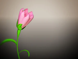 animated flower blooming flower 3D Model