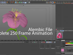 animated flower blooming flower 3D Model
