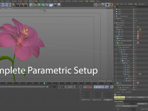 animated flower blooming flower 3D Model