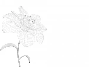 animated flower blooming flower 3D Model