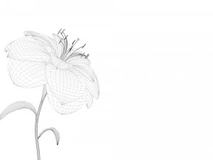 animated flower blooming flower 3D Model