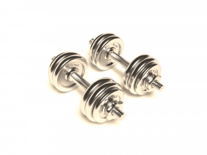 dumbrelles chrome Modello 3D