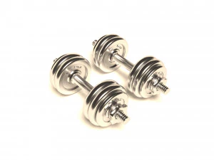 Hanteln Chrom 3D Modell