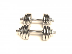 dumbrelles chrome Model 3D