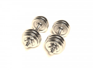 dumbrelles chrome Model 3D