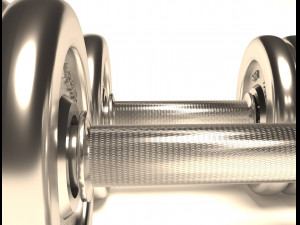 dumbrelles chrome Model 3D