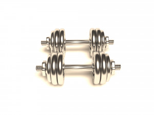 dumbrelles chrome Model 3D