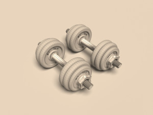 dumbrelles chrome Model 3D