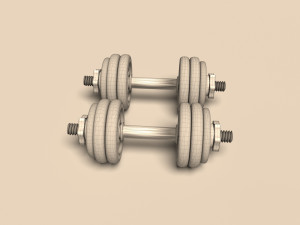 dumbrelles chrome Model 3D