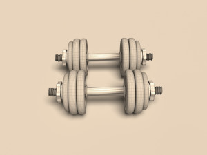 dumbrelles chrome Model 3D