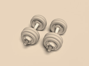dumbrelles chrome Model 3D