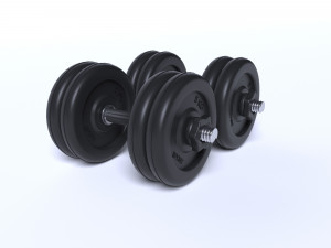 dumbrelles 3D Model