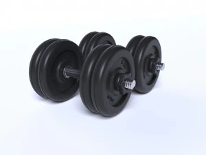 डम्ब्रेल्स 3D मॉडल