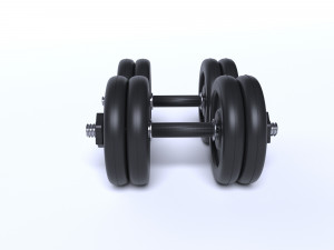 dumbrelles 3D Model