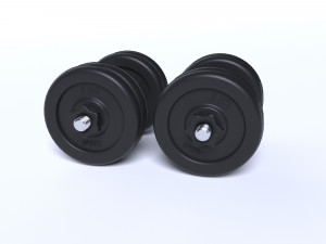 dumbrelles 3D Model