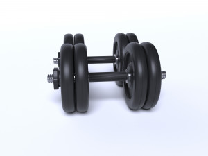 dumbrelles 3D Model