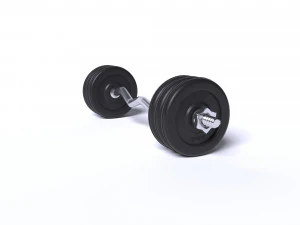 sports equipment dumbbells barbell 3D Model