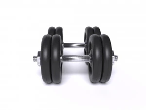 sports equipment dumbbells barbell 3D Model